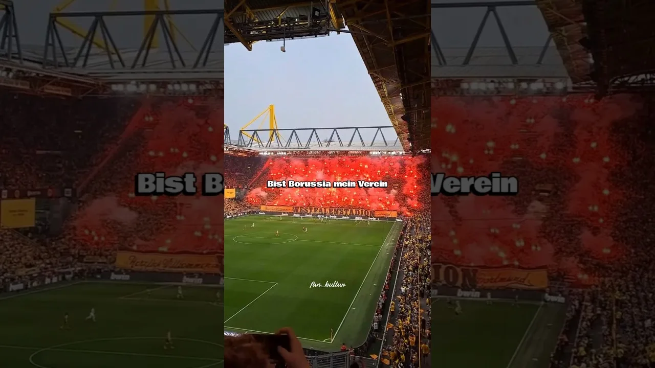 Borussia Dortmund! Nous faisons tout cela rien que pour vous ! Modification du chant des fans avec texte ! ⚫🟡 #borussiadortmund