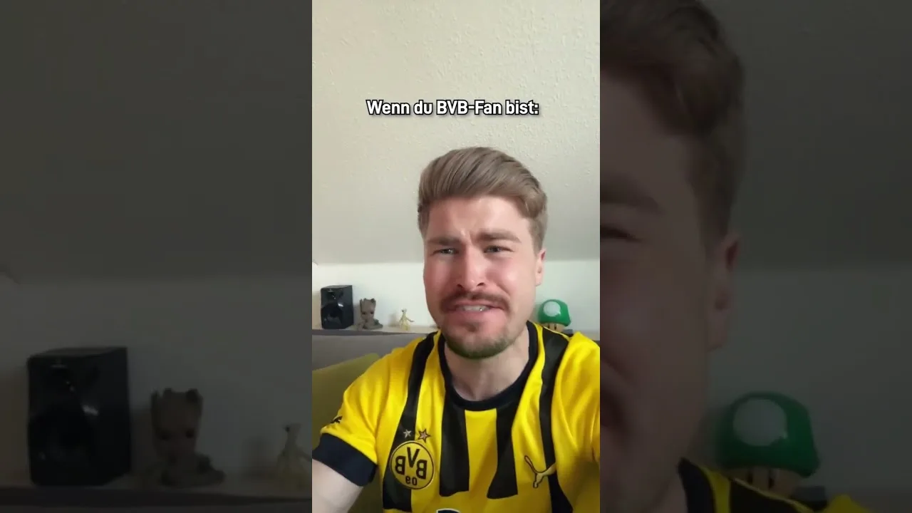 Wie ich das Spiel gegen Stuttgart erlebt habe. #bvb #dortmund #vfb #bundesliga #fussball