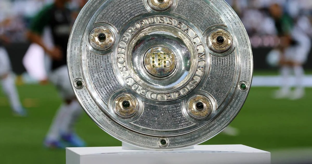 Bundesliga 2024/25: Conseils pour le 25e match – Tip de coup de pied, pari, résultat – RP en ligne