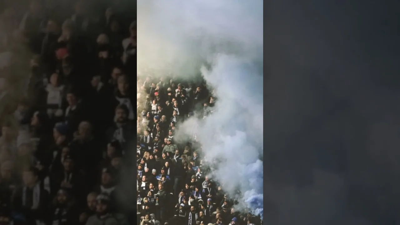 Kölner äußern sich zum Magdeburg Angriff #ultras #bundesliga #fußball #fcmagdeburg #fcköln #effzeh