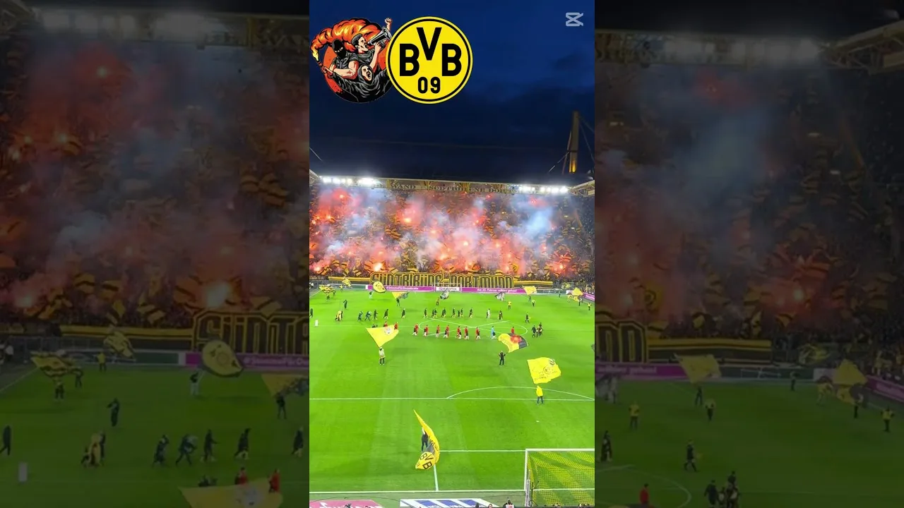 BVB Dortmund Ultras #ultras #bundesliga #soccer #pyro #party #derby #dortmund #football