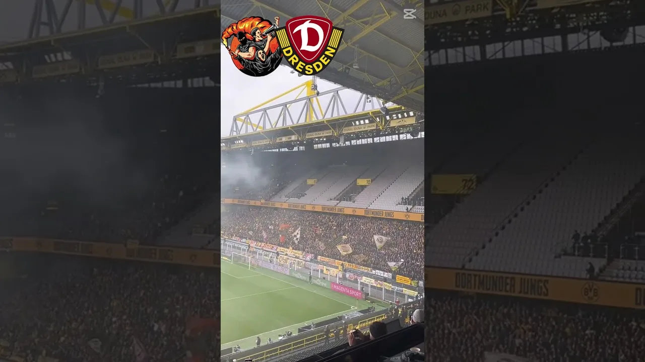Dynamo Dresden Ultras #ultras #bundesliga #soccer #dynamodresden #football #derby #cr7 #messi