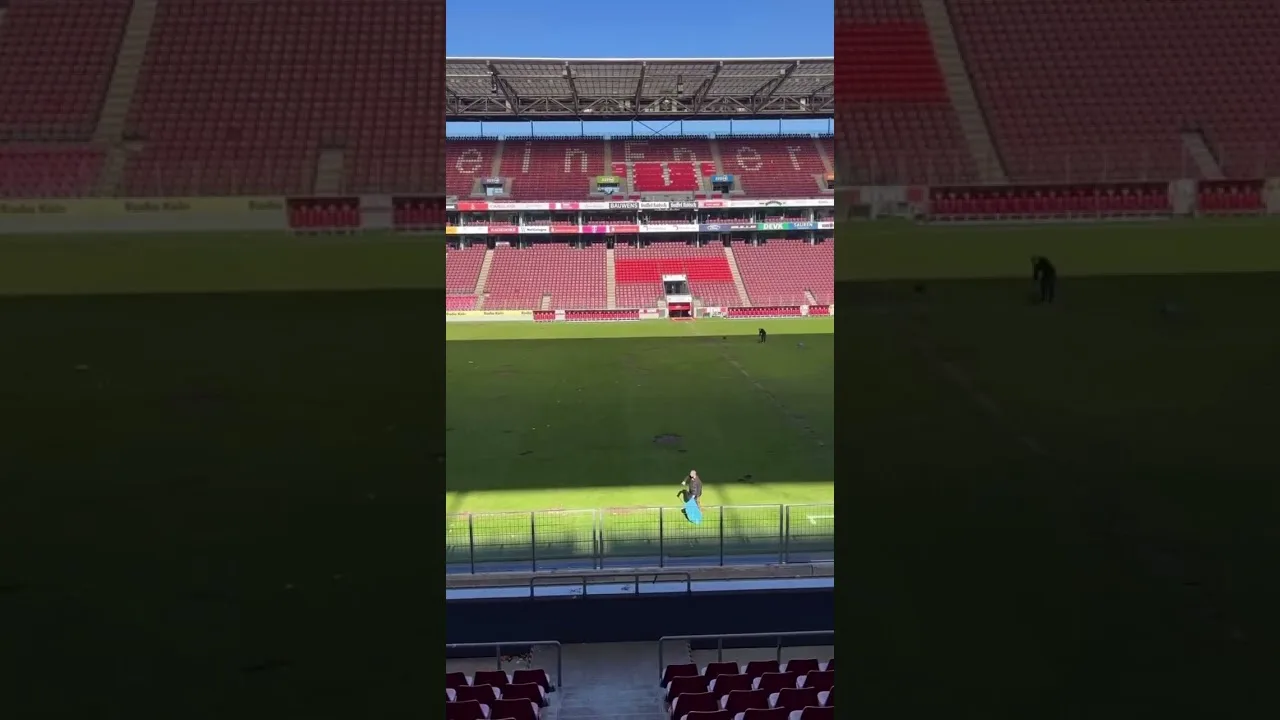 Der Tag danach…❤️🤍 #fcköln #bundesliga #ultras (Video von: koelnistkool)